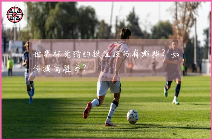 世界杯竞猜的投注技巧有哪些？如何提高胜率？