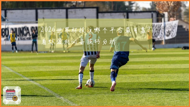 2026世界杯投注哪个平台最可靠？看球盈利必备技巧分析