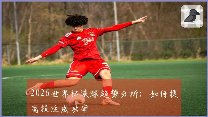 2026世界杯滚球趋势分析：如何提高投注成功率