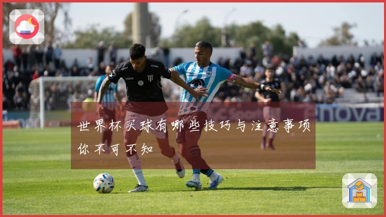 世界杯买球有哪些技巧与注意事项你不可不知
