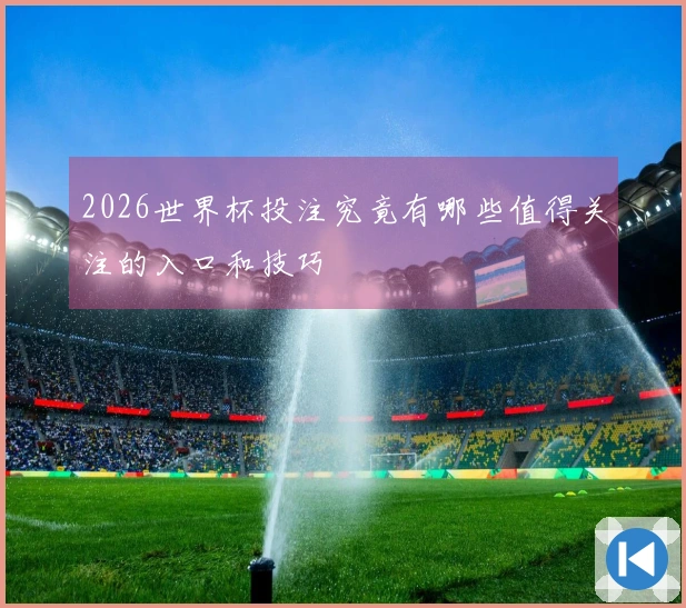 2026世界杯投注究竟有哪些值得关注的入口和技巧