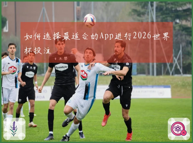 如何选择最适合的App进行2026世界杯投注