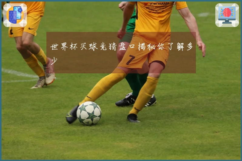 世界杯买球竞猜盘口揭秘你了解多少